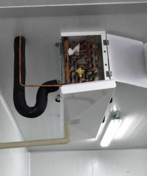 jasa cold storage - galeri (2)